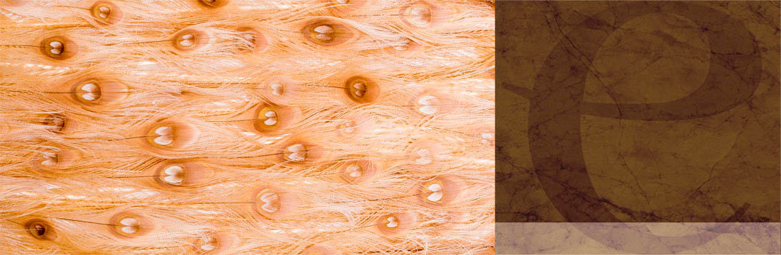 Plumes-Blanchies